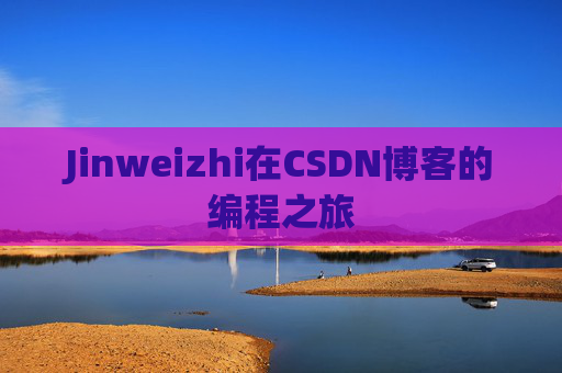 Jinweizhi在CSDN博客的编程之旅